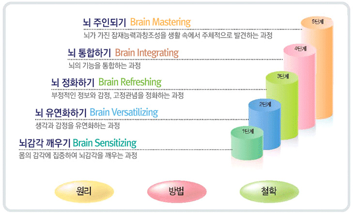 1.뇌주인 되기 2.뇌통합 하기 3.뇌정화 하기 4.뇌유연화 하기 5.뇌감각 깨우기